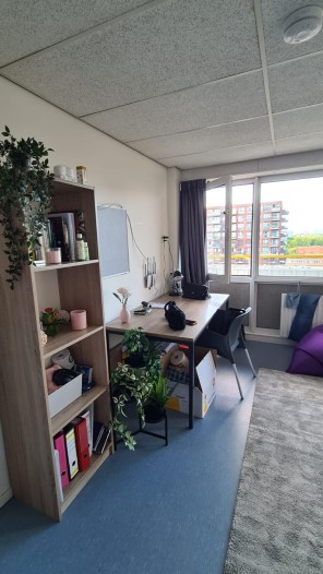 Kamer - E. du Perronlaan - Delft