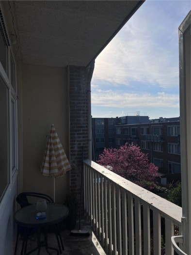 Appartement - Mathenesserweg - Rotterdam