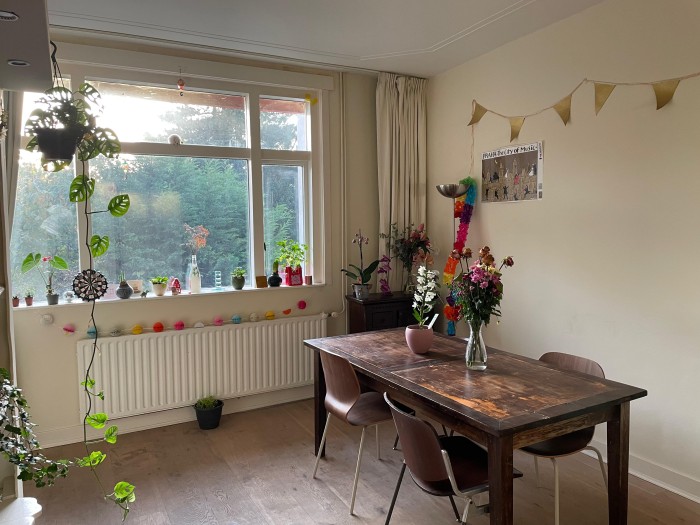 Kamer - Van Hogenhoucklaan - 's-Gravenhage