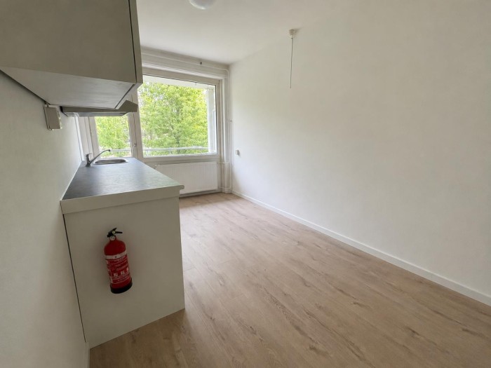 Kamer - Abeelstraat - Groningen