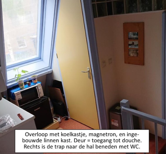 Kamer - Madeliefje - Bennekom