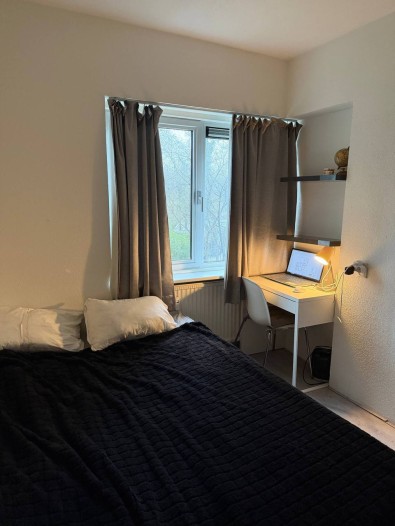 Kamer - Gouden Leeuw - Amsterdam