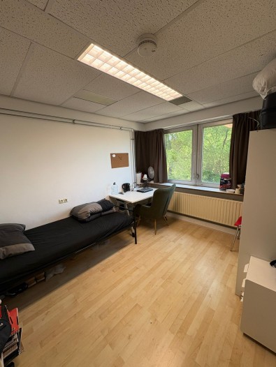 Kamer - Tweemolentjeskade - Delft
