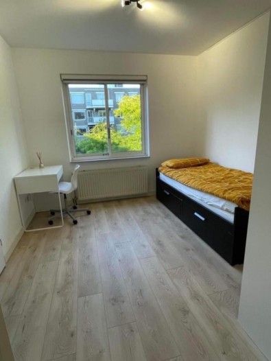 Kamer - Wilgenlaan - Groningen