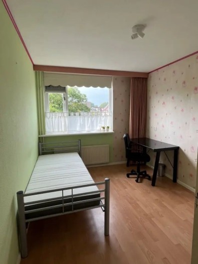 Kamer - Goudplevier - IJsselstein