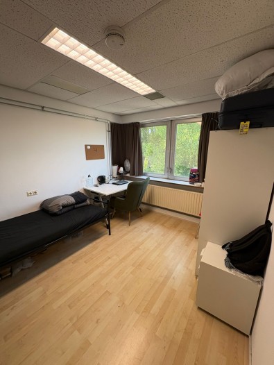 Kamer - Tweemolentjeskade - Delft