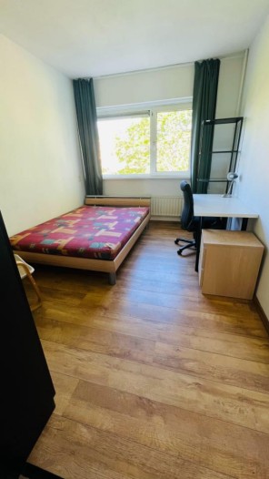Kamer - Joseph Haydnlaan - Leiden