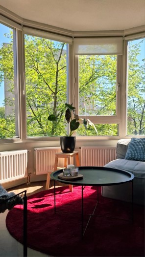 Kamer - Maliebaan - Amsterdam