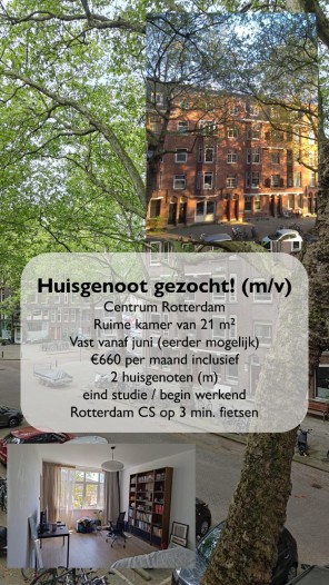 Kamer - Graaf Florisstraat - Rotterdam