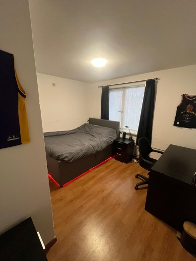 Kamer - Westertorenlaan - Tilburg