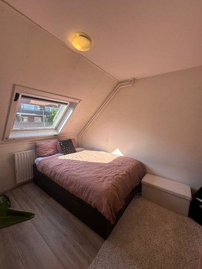 Kamer - Boskriekoord - Diemen