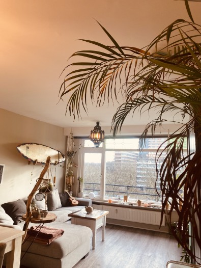 Appartement - Bosboom-Toussaintplein - Delft