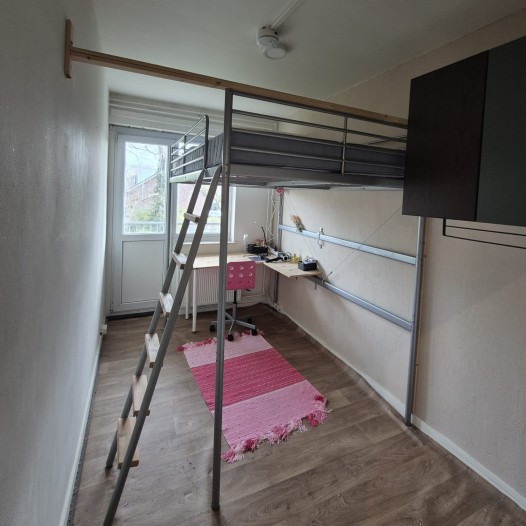 Kamer - Jeroen Boschlaan - Eindhoven