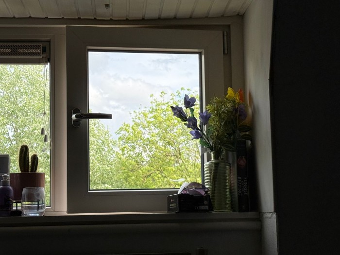 Kamer - Leidsevaart - Haarlem