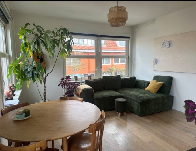 Appartement - Sneeuwbalstraat - Amsterdam