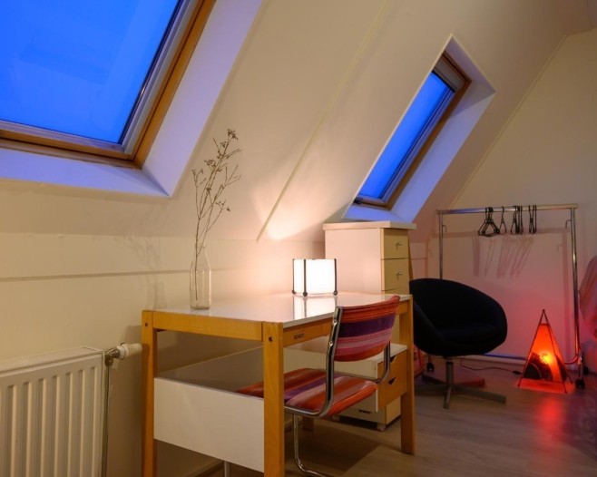 Kamer - Maartvlinder - Utrecht