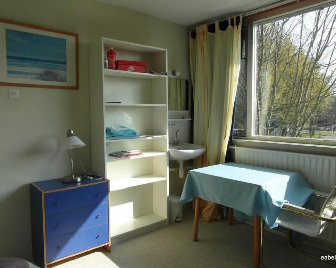 Kamer - Korenbloemweg - Haren Gn