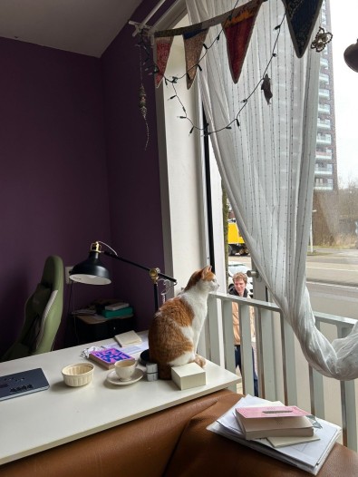 Appartement - Carolina MacGillavrylaan - Amsterdam