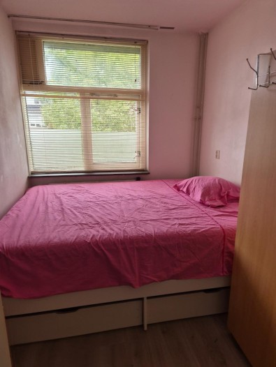 Kamer - Maldenhof - Amsterdam