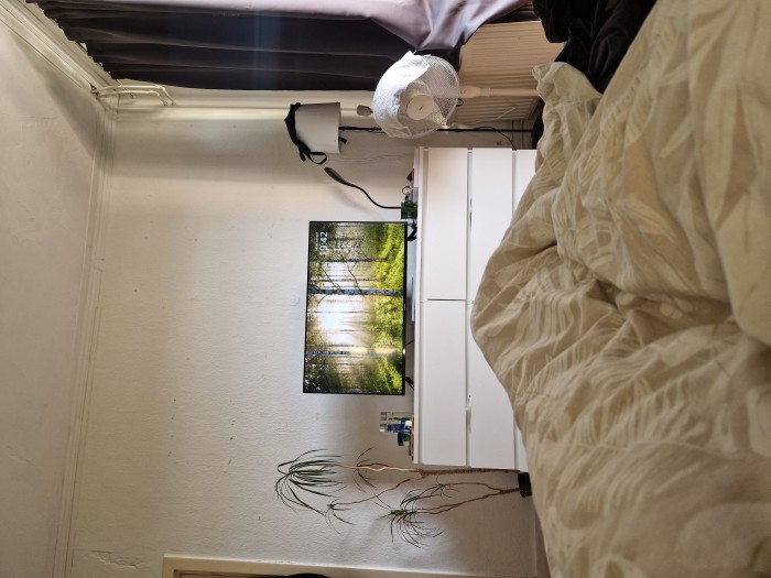 Kamer - Parkweg - Groningen