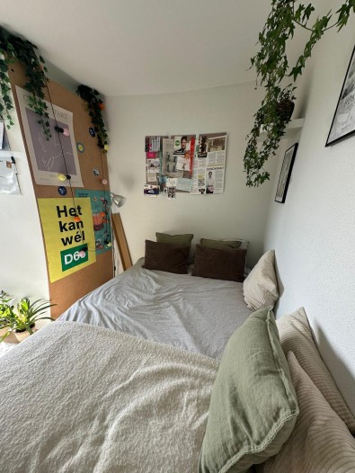 Kamer - Gouden Rijderplein - Delfgauw