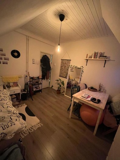 Kamer - Voorzorgstraat - Haarlem