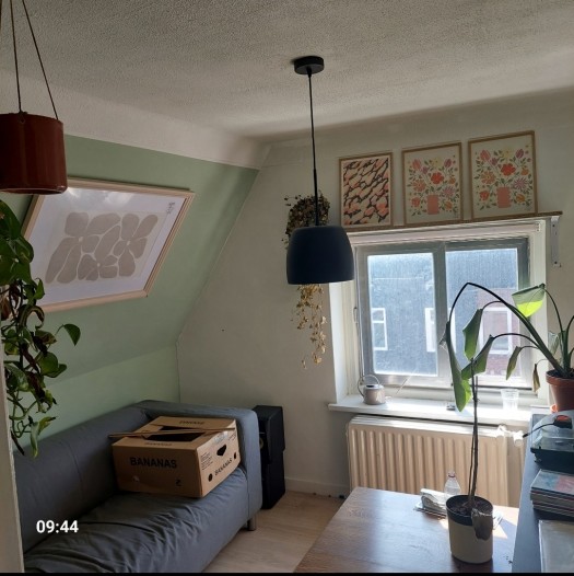 Kamer - Prunusstraat - Tilburg