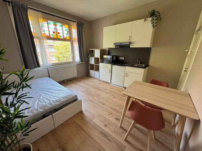 Appartement - Goeverneurlaan - 's-Gravenhage