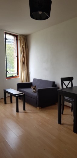 Appartement - Lontarpalmstraat - Amsterdam