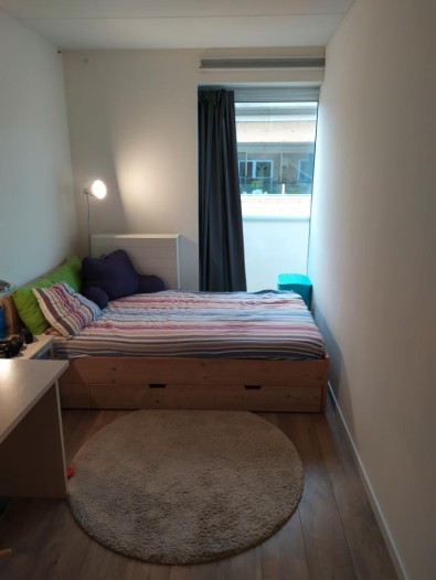 Kamer - Clusiushof - Oegstgeest