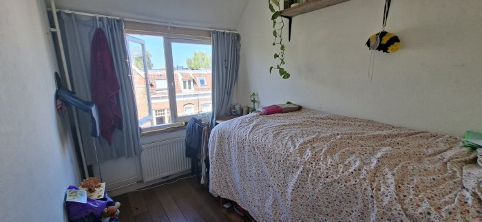 Kamer - Potgieterstraat - Utrecht
