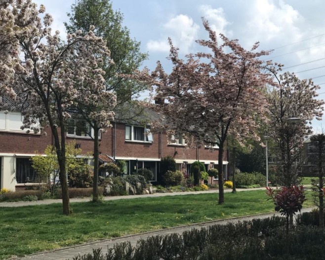 Kamer - Toekomststraat - Enschede