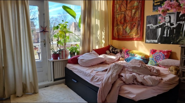 Kamer - Professor Rankestraat - Groningen