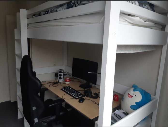 Kamer - Remuslaan - Eindhoven