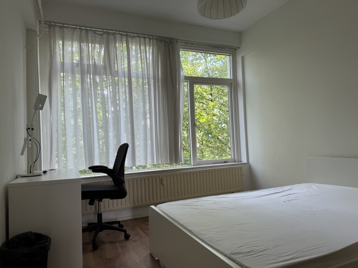 Kamer - Goudsesingel - Rotterdam
