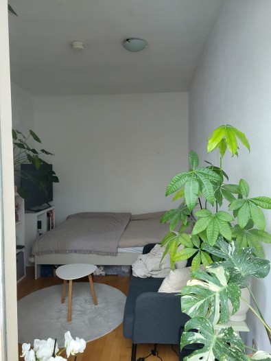 Appartement - Hatertseweg - Nijmegen