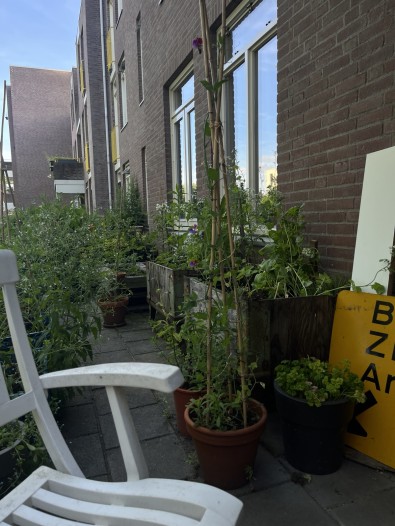 Kamer - Mina Krusemanstraat - Enschede