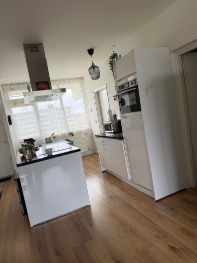Kamer - Hofgeest - Amsterdam