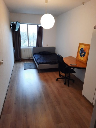 Kamer - Gouden Leeuw - Amsterdam