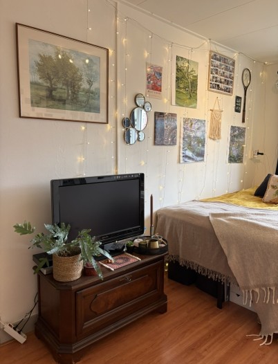 Kamer - Ceramstraat - Groningen