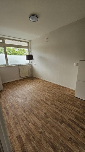 Kamer - Gildemeestersplein - Arnhem