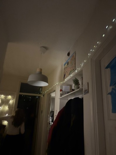 Kamer - Dirk Hoogenraadstraat - 's-Gravenhage