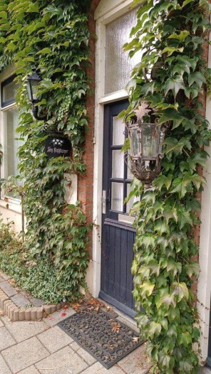Kamer - Zuiderstraat - Helmond