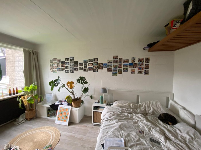 Kamer - Calslaan - Enschede
