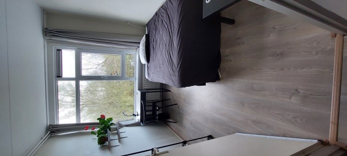 Kamer - Voordek - Amsterdam