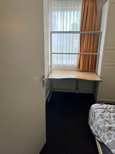 Kamer - Zomereik - Eindhoven