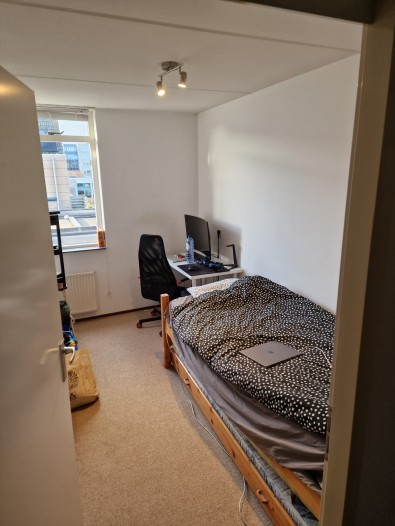Kamer - Femina Mullerstraat - Hoofddorp