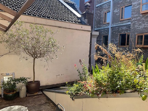 Appartement - Schietbaanstraat - Rotterdam
