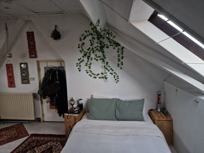 Kamer - Semmelinkstraat - Nijmegen