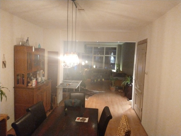 Kamer - Dierenselaan - 's-Gravenhage